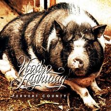 Pervert County mp3 Album by Voodoo Highway