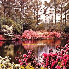 Hot Surface mp3 Album by Please Be Careful