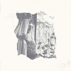 Ephemera mp3 Album by Ben Quad