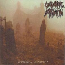 Immortal Cemetery mp3 Album by Cerebral Effusion