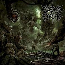 Ominous Flesh Discipline mp3 Album by Cerebral Effusion