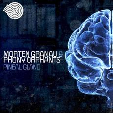 Pineal Gland mp3 Single by Morten Granau