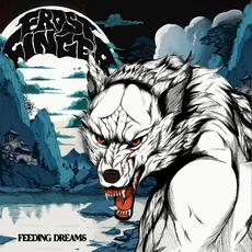 Feeding Dreams mp3 Album by Frost Finger