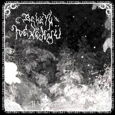 De svarta riterna mp3 Album by Bekëth Nexëhmü