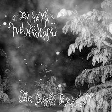 De evigas gravrit mp3 Album by Bekëth Nexëhmü