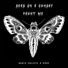 Nunca Volveré A Amar mp3 Single by Dead on a Sunday