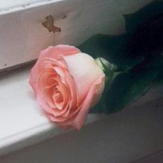 Blooom mp3 Album by Planet Funk