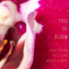 Trio of Bloom mp3 Album by Trio of Bloom