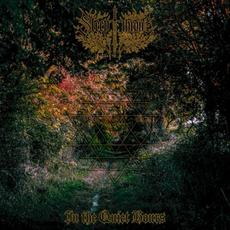 In the Quiet Hours mp3 Album by Sleep Throne
