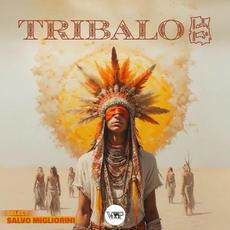 Tribalo 6 mp3 Compilation by Various Artists