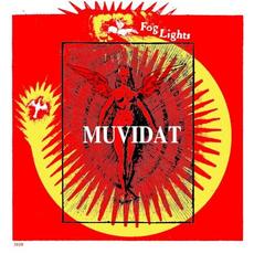 Fog Lights mp3 Album by Muvidat
