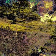 Stagnum Opus Songs From The Bog mp3 Album by The Creature Cage