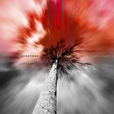 Die Zeit und die Dunkelheit mp3 Album by Apoptose