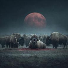 Born To Die mp3 Album by buffalo farm