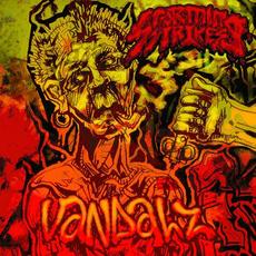 Vandalz mp3 Album by Storming Strikes