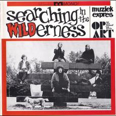 Searching in the Wilderness mp3 Compilation by Various Artists