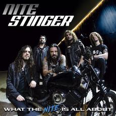 What The Nite Is All About mp3 Album by Nite Stinger
