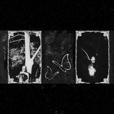 novej qalhnjënno mp3 Album by Trhä