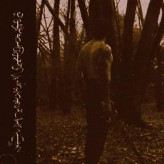 Tahaccet ga qecha com ibajn mp3 Album by Trhä