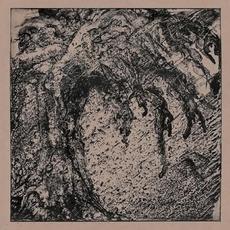 Douse the Choir mp3 Album by Lost Ocean