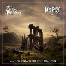 A Moor Beneath the Cold Dead Sun mp3 Album by Anna Pest & Colin MacAndrew