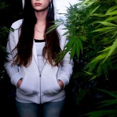 Night Killaz Vol. 1 mp3 Album by Snow Strippers