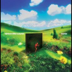 bones mp3 Album by Rainbow Kitten Surprise