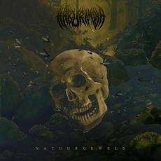 Natuurgeweld mp3 Album by Kaburimoja