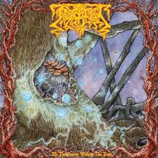 III: The Forest Within the Tree mp3 Album by Deadbird