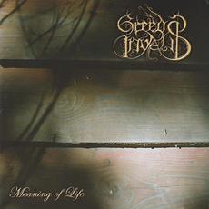 Meaning of Life mp3 Album by Greedy Invalid