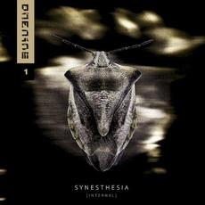SYNESTHESIA (INTERNAL) mp3 Album by onenine