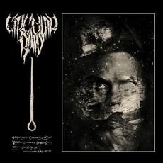 A Sermon in Tongues mp3 Album by Circular Ruin