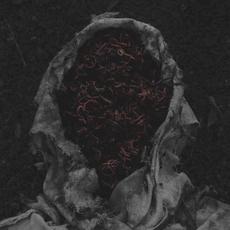 Stillamentum mp3 Album by Gorrch