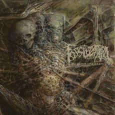 Cremation of a Seraph mp3 Single by Fossilization