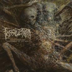 Disentombed and Reassembled by the Ages mp3 Single by Fossilization