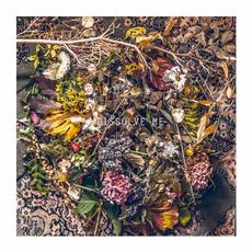 Dissolve Me mp3 Single by Sick Joy