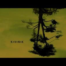 Kavanak mp3 Album by Ginzu and The Steak Knives