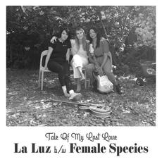 Tale Of My Lost Love mp3 Single by La Luz