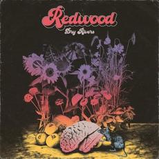 Dry Rivers mp3 Album by Redwood