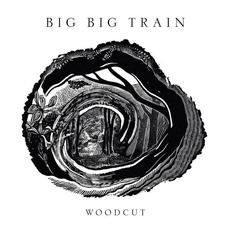 Woodcut mp3 Album by Big Big Train