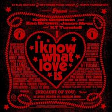 I Know What Love Is (Because of You) mp3 Single by Keith Goodwin
