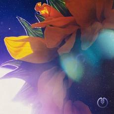 Starlight mp3 Single by Cartographer