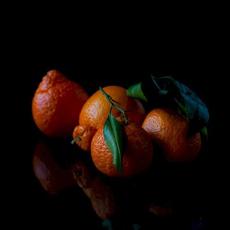 Out of My Mind and Into Yours mp3 Album by Architrave