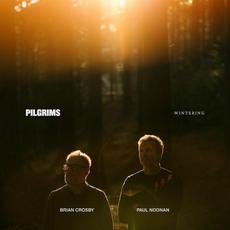 Wintering mp3 Album by Pilgrims