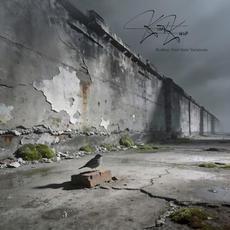 Rodney – End-State Variations mp3 Album by Kant Kino