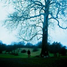 The Edge mp3 Single by Nick Prato