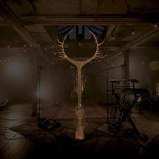 Live at the Biscuit Factory mp3 Live by DVNE