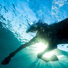 You Wish mp3 Album by Dream Nails