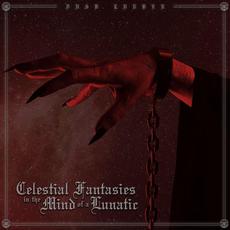 Celestial Fantasies In The Mind Of A Lunatic mp3 Album by Dusk Lurker