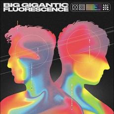 Fluorescence mp3 Album by Big Gigantic